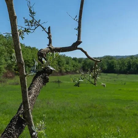 Exclusive With Pool Borgo Pian Di Sala *