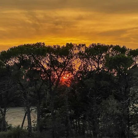 Exclusive With Pool Borgo Pian Di Sala Villa San Gimignano