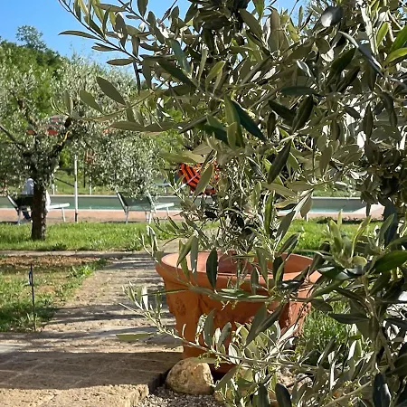 Exclusive With Pool Borgo Pian Di Sala * San Gimignano