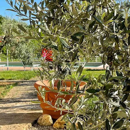 Exclusive With Pool Borgo Pian Di Sala *